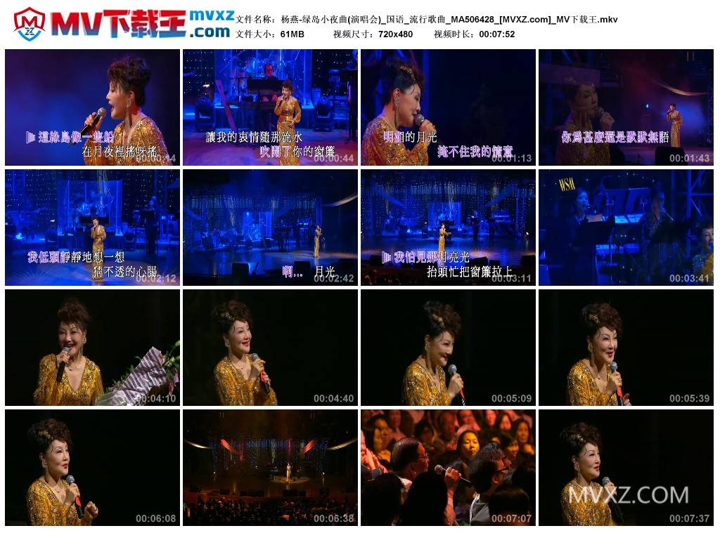 杨燕-绿岛小夜曲(演唱会)_国语_流行歌曲_MA506428